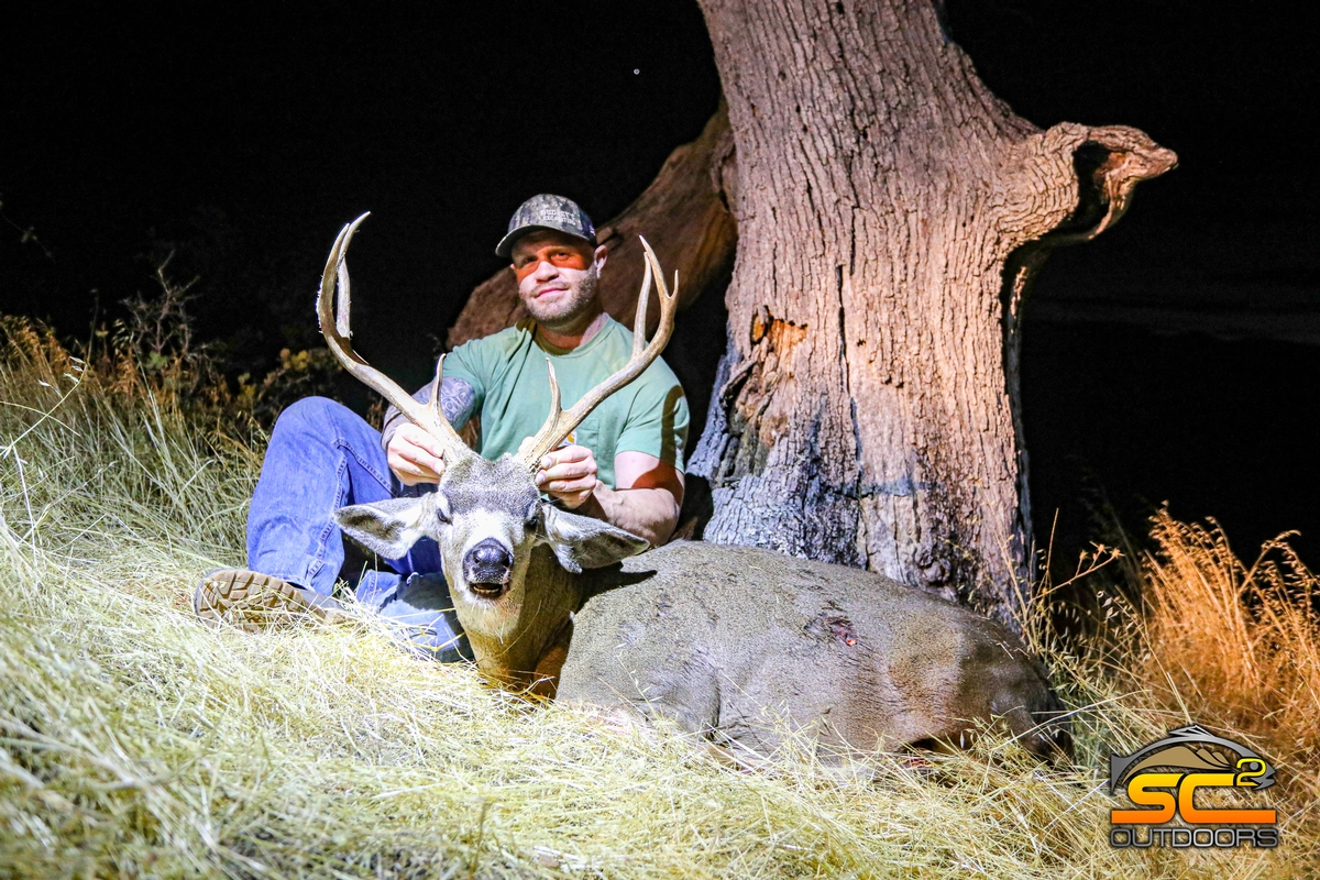 Blacktail Deer Hunting (California) Photo